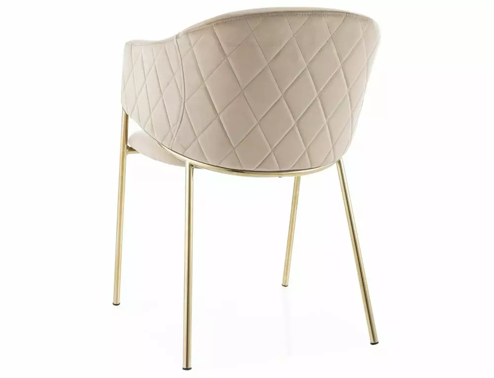 BONO VELVET - Imagen 3