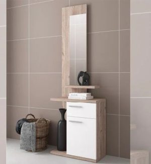 RECIBIDOR ENTER CON ESPEJO